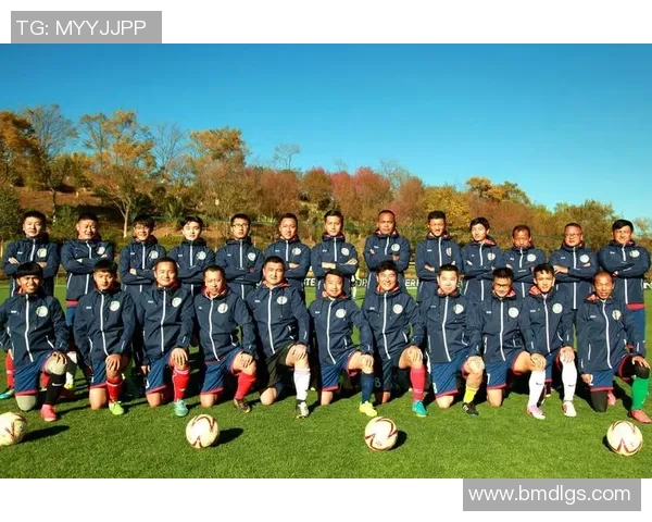 芙莱特足球：探索足球运动的魅力与团队精神的完美结合