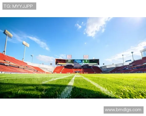 足球碧昂丝的魅力与激情如何在绿茵场上绽放出无限光彩