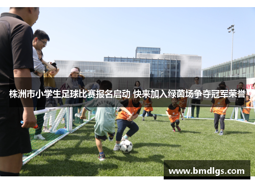 株洲市小学生足球比赛报名启动 快来加入绿茵场争夺冠军荣誉