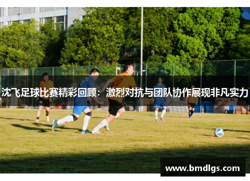 沈飞足球比赛精彩回顾：激烈对抗与团队协作展现非凡实力