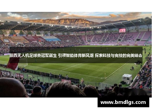陕西无人机足球赛冠军诞生 引领智能体育新风潮 探索科技与竞技的完美结合
