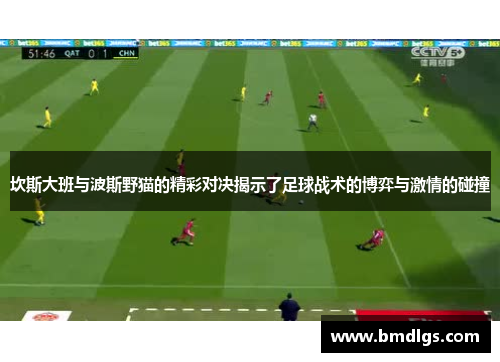 坎斯大班与波斯野猫的精彩对决揭示了足球战术的博弈与激情的碰撞
