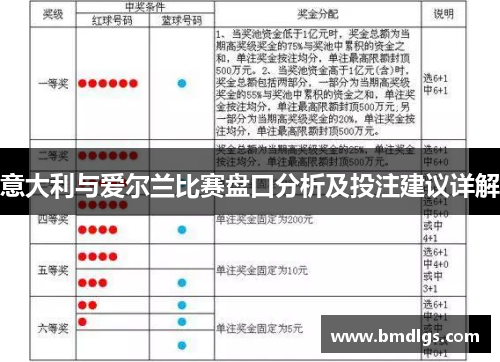 意大利与爱尔兰比赛盘口分析及投注建议详解