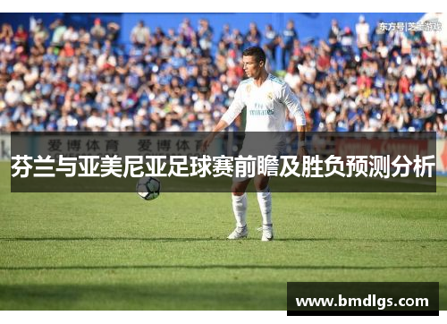 芬兰与亚美尼亚足球赛前瞻及胜负预测分析