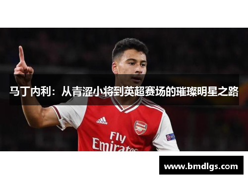 马丁内利：从青涩小将到英超赛场的璀璨明星之路