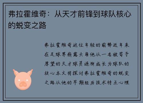 弗拉霍维奇：从天才前锋到球队核心的蜕变之路